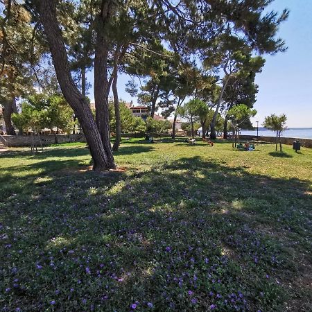 Nina Deluxe Superior 5 Star Apartment, Your Piece Of Heaven By The Sea & Park Novigrad Istria المظهر الخارجي الصورة