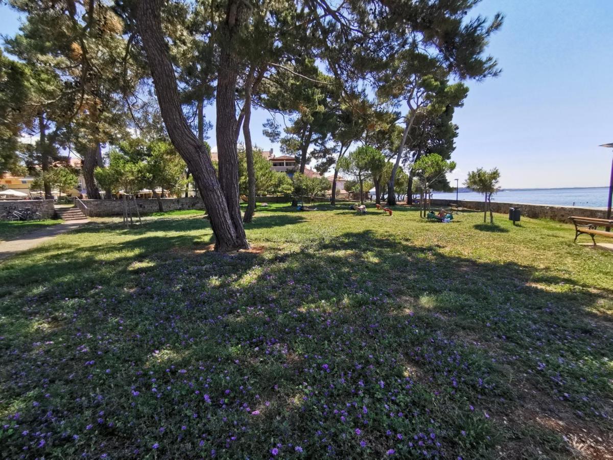 Nina Deluxe Superior 5 Star Apartment, Your Piece Of Heaven By The Sea & Park Novigrad Istria المظهر الخارجي الصورة