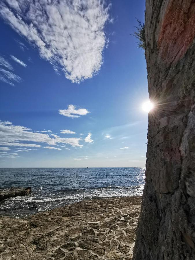 Nina Deluxe Superior 5 Star Apartment, Your Piece Of Heaven By The Sea & Park Novigrad Istria المظهر الخارجي الصورة