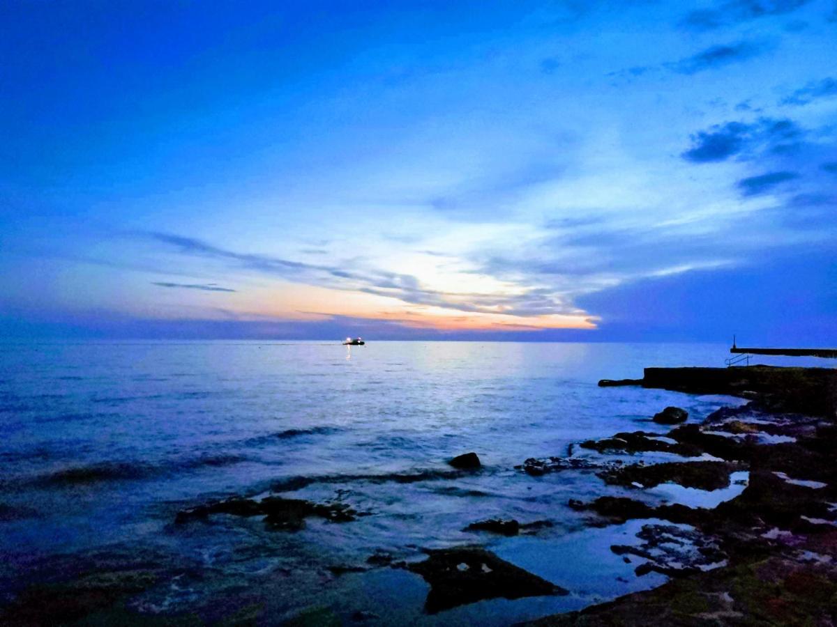 Nina Deluxe Superior 5 Star Apartment, Your Piece Of Heaven By The Sea & Park Novigrad Istria المظهر الخارجي الصورة