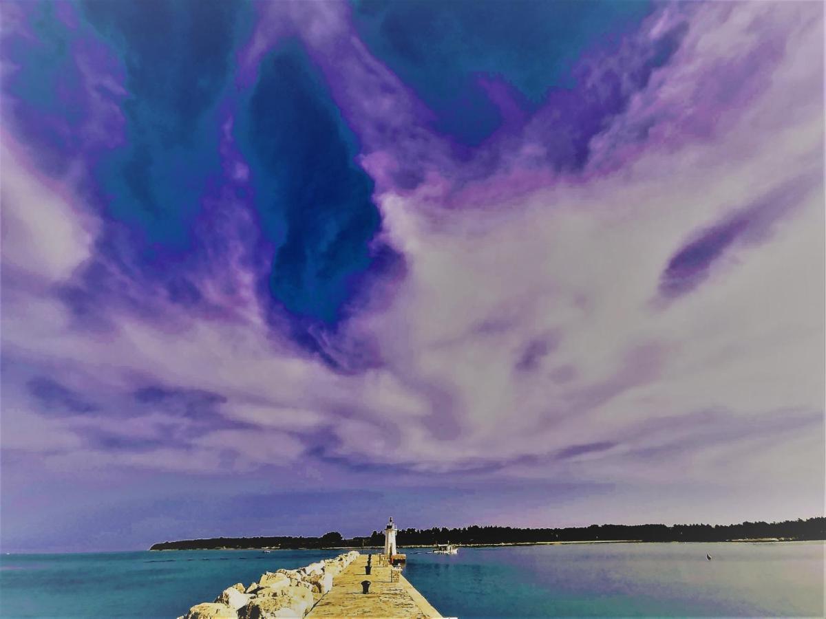 Nina Deluxe Superior 5 Star Apartment, Your Piece Of Heaven By The Sea & Park Novigrad Istria المظهر الخارجي الصورة