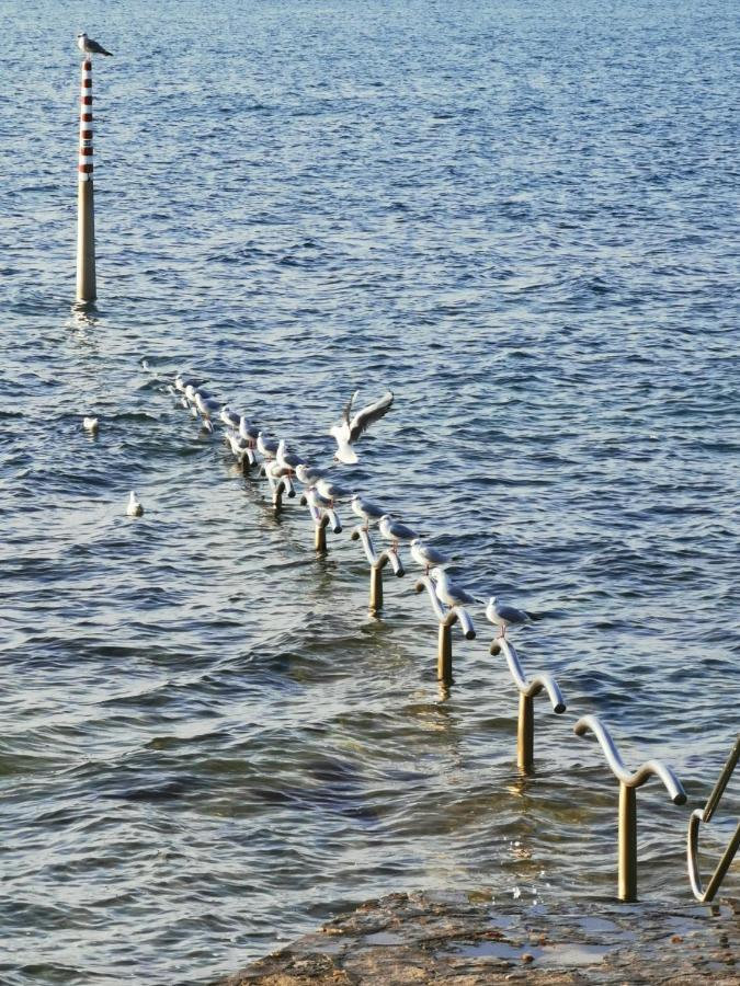 Nina Deluxe Superior 5 Star Apartment, Your Piece Of Heaven By The Sea & Park Novigrad Istria المظهر الخارجي الصورة